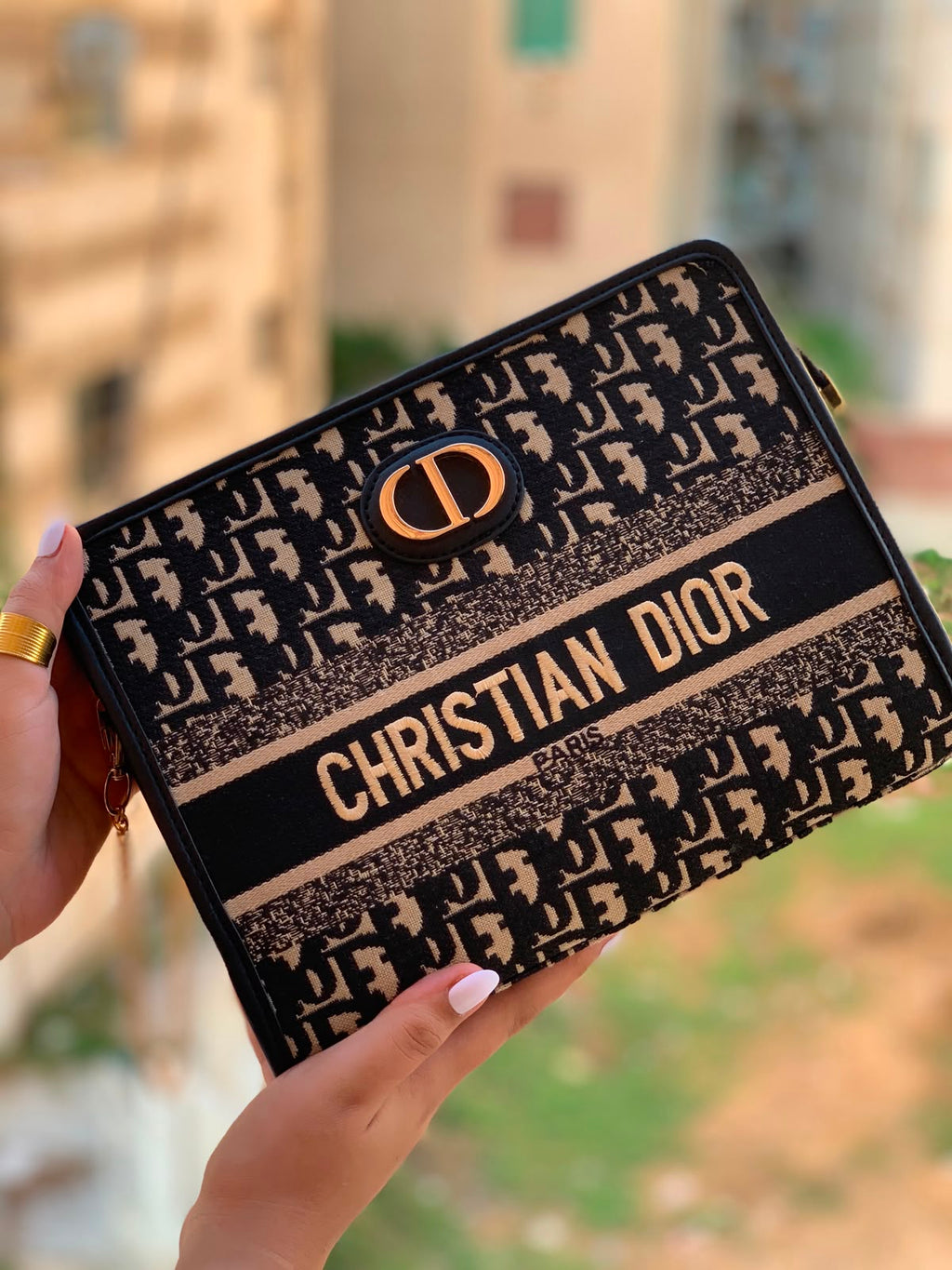 Dior Clutch